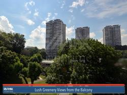 Braddell View (D20), Apartment #128634642